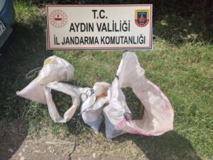 Aydın’ın Germencik İlçesinde bir vatandaşa ait incir bahçesinden ilek çalan