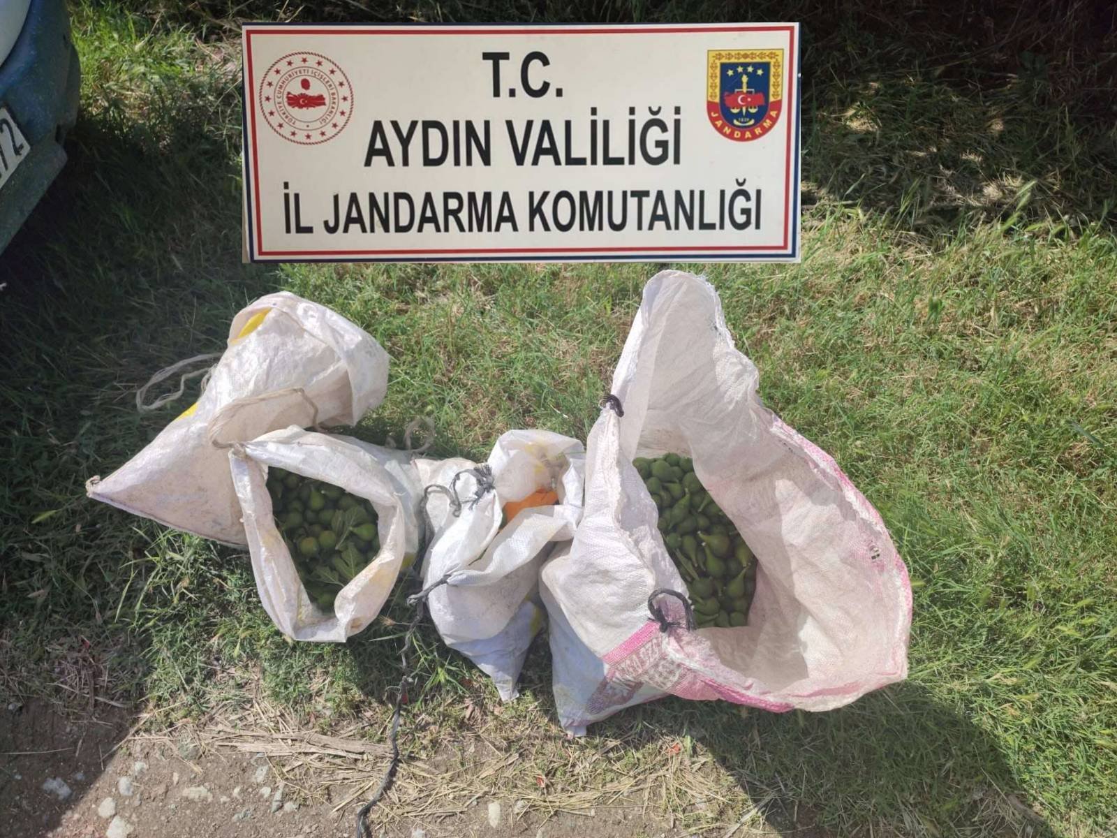 İlek çalarken yakalandılar