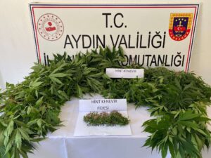 Aydın’ın Yenipazar İlçesinde jandarma ekipleri tarafından yapılan operasyonda bir evin