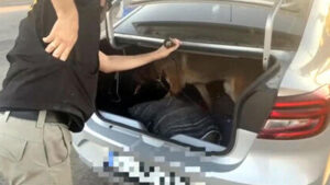 İzmir‘in Karşıyaka ilçesinde polisin düzenlediği operasyonda 13,5 kilo kokain, 5