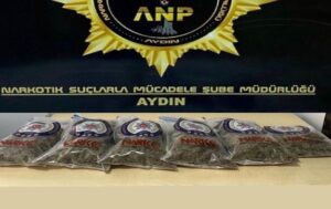 Aydın’ın Söke İlçesinde polisin takibi sonucu yakalanan 2 hız motorunda