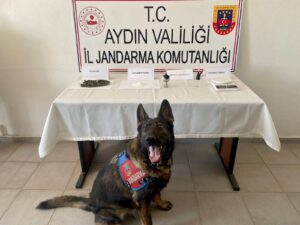 Aydın’ın Köşk İlçesinde jandarma ekiplerinin yaptığı operasyonda evde uyuşturucu ve
