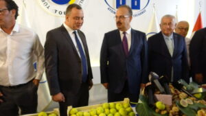 Aydın’da sezonun ilk kuru inciri 350 TL’den alındı