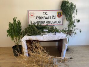 Aydın’ın Koçarlı İlçesinde jandarma ekiplerinin yaptığı operasyonda bir evde 514