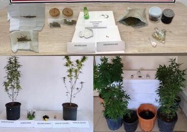 Uyuşturucu operasyonu: 24 gözaltı