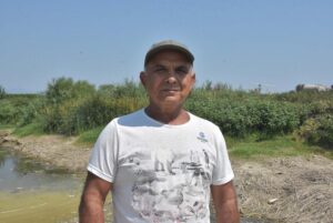 Büyük Menderes Havzası tahliye kanalında binlerce balık öldü
