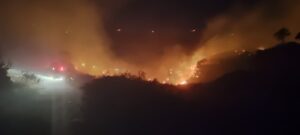 Söke’de makilik alanda yangın