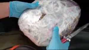 Aydın’ın Nazilli ilçesinde polis ekipleri düzenledikleri operasyonda otomobilde 750 gram