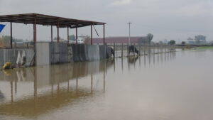 Aydın’a kuvvetli yağış uyarısı