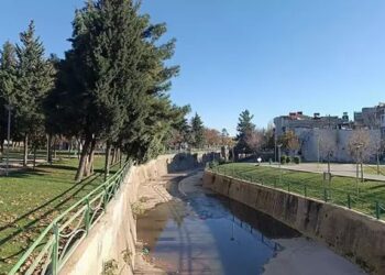 Dere kenarında bebek cesedi bulundu