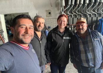 Çınar, kazanmak için yeniden yollardayız