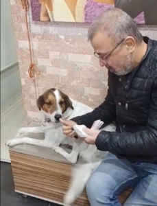 https://www.youtube.com/watch?v=O67hNXU6im4 İncirliova’da uzun yıllardan beri fotoğrafçılık yapan Göksel Dedeli, Sevgi