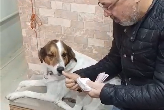 İncirliovalı esnafın ‘Cino’ ile para sayması gündem oldu