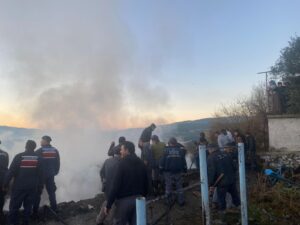 Karacasu’da çıkan yangında 2 ev küle döndü