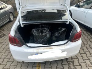 Zeytinyağı hırsızları polisten kaçmadı