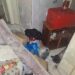 3 ton çöp çıkan evde 20 bin lira bulundu