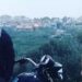 Borcunu ödemeyen arkadaşını bıçak ve baltayla öldürdü