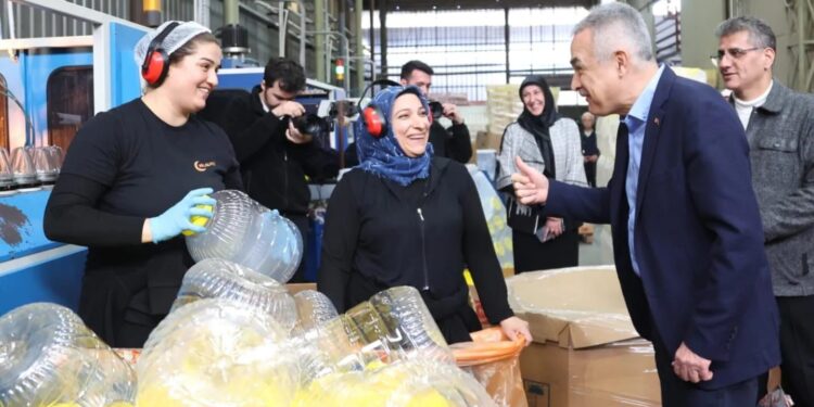 Savaş: Aydın yerel yönetimde köy görünümünde