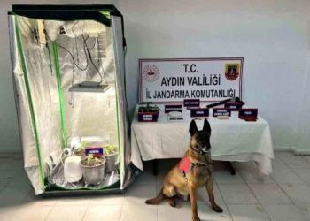 Kuşadası’nda bez kabinde uyuşturucuya 2 gözaltı