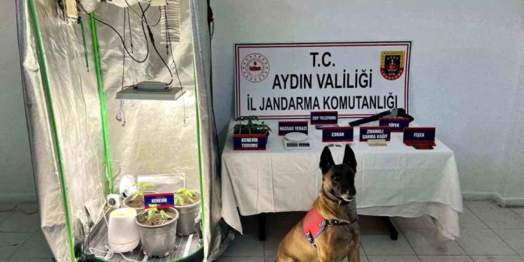 Kuşadası’nda bez kabinde uyuşturucuya 2 gözaltı