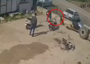 Kedisini öldüren köpeği hortumla dövdü