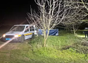 Meyve bahçesinde başından vurulmuş halde ölü bulundu