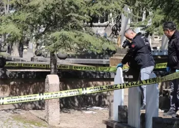 Mezarlıktaki 4 aylık cenin bulundu