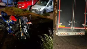 Muğla‘nın Bodrum ilçesinde yola çıkan domuza çarpmamak için ani fren yapan