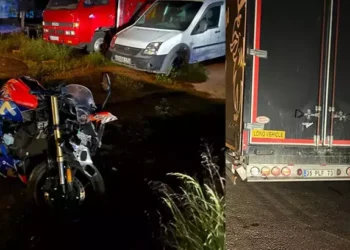 Domuza çarpmamak ani fren yapanınca kamyona çarptı