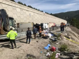 Çankırı‘nın Çerkeş ilçesinde TIR, arızalandığı için sürücüsünün yol kenarına çektiği