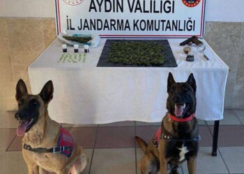 Nazilli’de uyuşturucu operasyonu 2 gözaltı