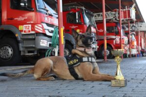 Aydın Büyükşehir Belediyesi’nin başarılı arama-kurtarma köpeği “Zeyna”, Uluslararası Arama Kurtarma