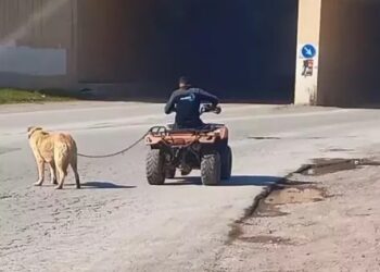 ATV'sine bağladığı köpeğini böyle sürükledi