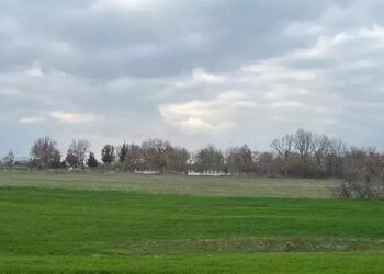 Oğlu ve eşini öldürüp, tarlasına gömdü