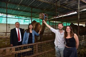 İncirliova Üniversite öğrencilerini deve çiftliğinde ağırladı