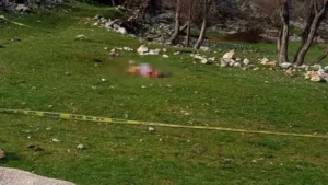 Antalya‘nın Akseki ilçesinde 3 çoban köpeğinin saldırısına uğrayan Havva Özen