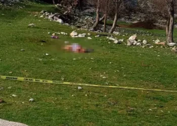 3 köpeğin saldırdığı kadın öldü