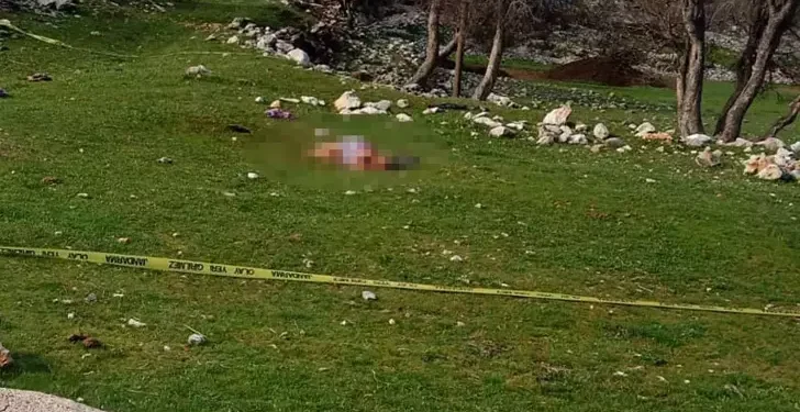 3 köpeğin saldırdığı kadın öldü