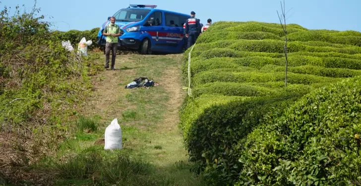 Başı kopmuş erkek cesedi bulundu