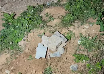 Boş arazide bebek cesedi bulundu