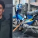 Motosiklet kazasında Emirhan öldü, kız arkadaşı yaralı