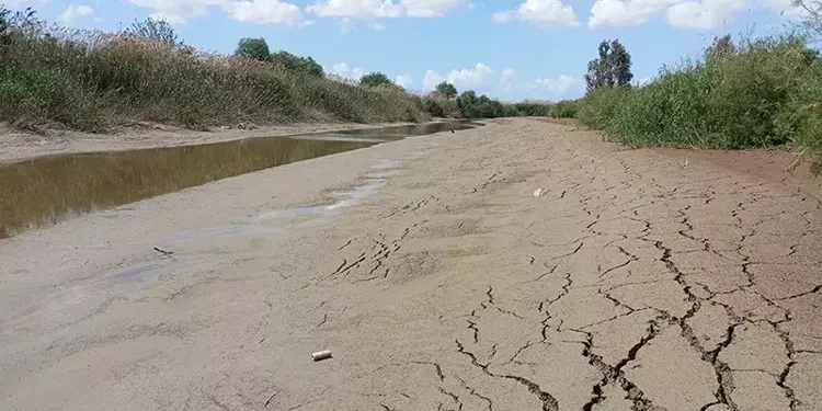Aydın’da su kıtlığı kapıda