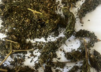 İncirliova’da 2 şüpheli uyuşturucuyla yakalandı