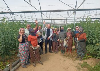 CHP’li Karakoz 1 Mayıs’ı İncirliova’da işçilerle serada kutladı