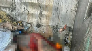 İzmir Güzelbahçe’de sokak ortasında insana ait olduğunun belirlenen yağ ve