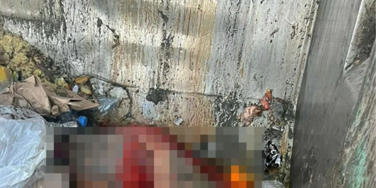 Sokak ortasında insan derisi bulundu