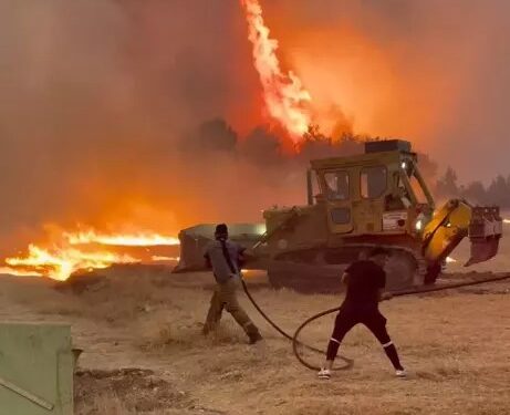 Orman yangını alevler geceyi aydınlattı