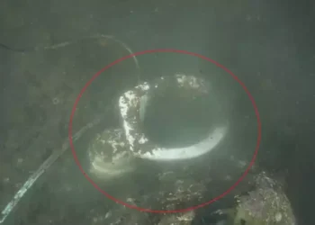 Denizden klozet çıktı