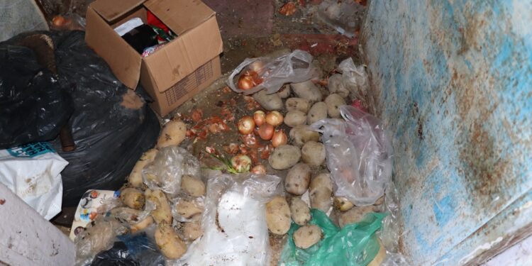 Nazilli’de evden 4 kamyon çöp çıktı