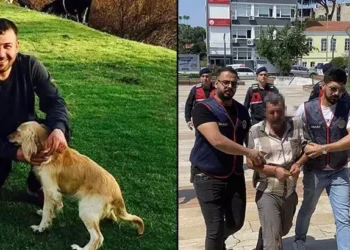 Arkadaşını kazayla öldürdüğünü iddia etti